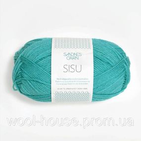 Шкарпеткова пряжа Sandnes Garn Sisu 50 г, 7025
