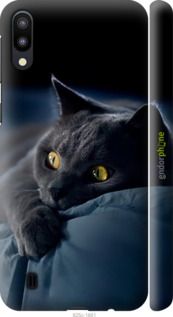 Чохол на Samsung Galaxy M10 Димчастий кіт "825m-1661-2448"