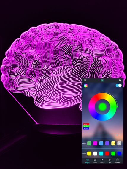 Акриловый светильник-ночник управление с телефона Мозг tty-n000918