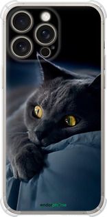 Чохол на iPhone 15 Pro Max Димчастий кіт "825sp-3098-2448"