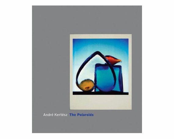 Альбоми відомих фотографів книга фотографій Андре Кертеса. Andre Kertesz – The Polaroids