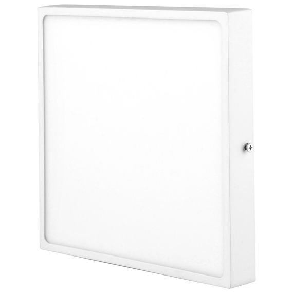 Точечный светильник светодиодный LED-491/24W CW
