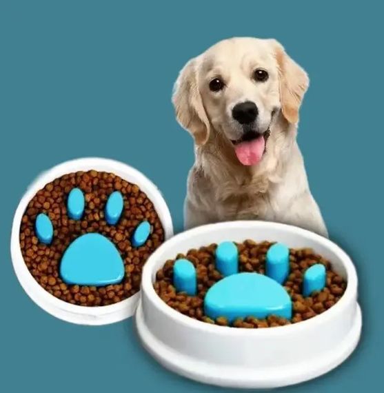 Годівниця для повільної подачі їжі Paw Perfect для котів та собак · Миска Slow Feeder Bowl для домашніх тварин | Зображення 1