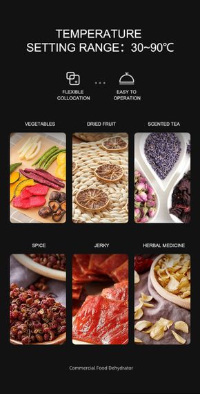 Дегідратор професійний Tekhniko DH-10HB-BK чорний (10 лотків 40*38см)