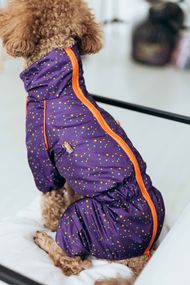 Дощовик кант зiрочки фiолет M-98