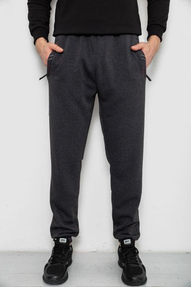 Спортивные штаны мужские на флисе, цвет серый, 244R41748