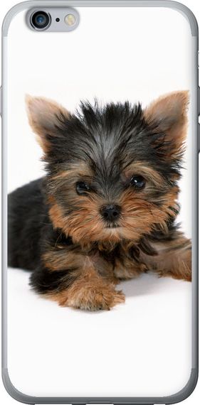 Чехол на iPhone 6s Plus Щенок йоркширского терьера "931u-91-17620"