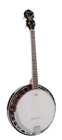 Банджо Richwood RMB-604