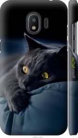 Чохол на Samsung Galaxy J2 2018 Димчастий кіт "825m-1351-2448"