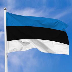 Флаг Эстонии 100х50 см