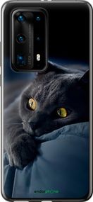 Чохол на Huawei P40 Pro Plus Димчастий кіт "825u-1917-2448"