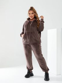 Женский велюровый спортивный костюм худи и штаны, большие размеры и батал, SS160 цвет коричневый, размер 48/50
