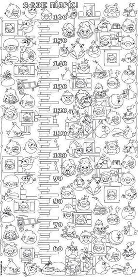 Шпалери-розмальовки Ростомір Angry Birds 60*120 C-120008