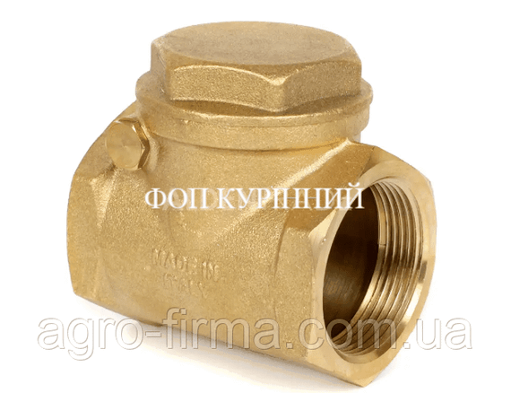 Клапан зворотній вакуумної устаноки GPV 2200