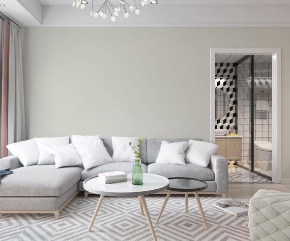 Краска Интерьерная Латексная Skyline 1505-G90Y Речной перламутр 1л | Зображення 2