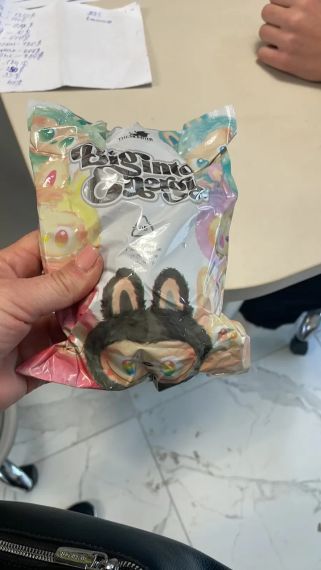 Мягкая фигурка игрушка-сюрприз Labubu Лабубу – брелок 16 см брелок на сумку | Зображення 5