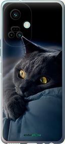 Чохол на Tecno Camon 19 Pro (CI8n) Димчастий кіт "825u-2766-2448"