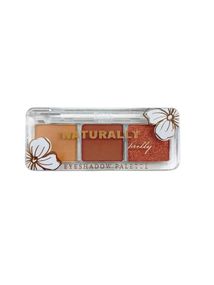 Палетка тіней для повік Bless Beauty Naturelly Pretty (3 кольори) - №2 (3*1.3 g)
