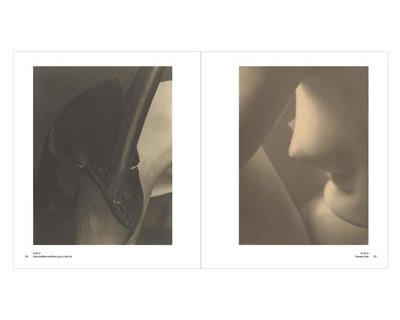 Альбоми відомих фотографів книга з фотороботами Імоджен Каннінгем Imogen Cunningham: A Retrospective | Зображення 1