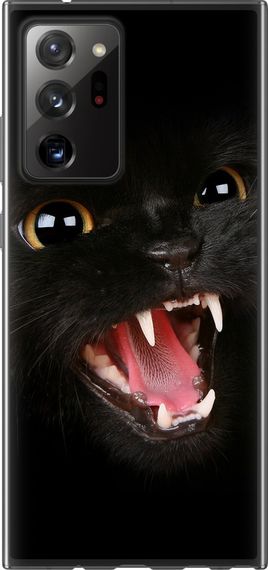 Чехол на Samsung Galaxy Note 20 Ultra Чёрная кошка "932u-2051-17620"