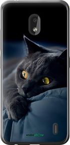 Чохол на Nokia 2.2 Димчастий кіт "825u-1706-2448"