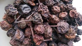 Дика груша / Дичка (плоди), 500г.