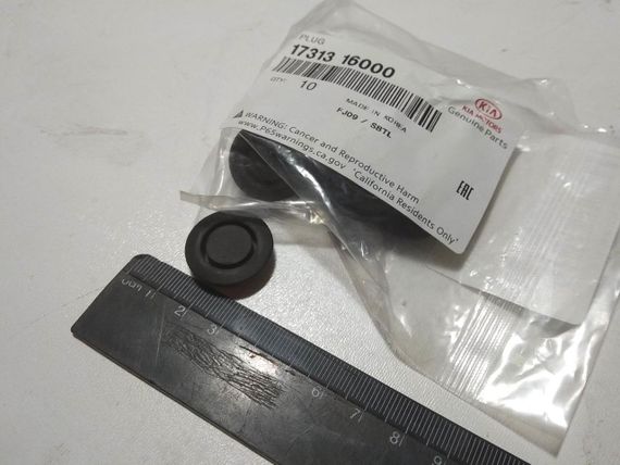 Заглушка кузова Hyundai/KIA, MOBIS (1731316000) (17313-16000) | Зображення 1