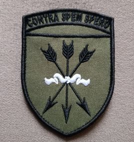 Шеврон 32 ОСБ