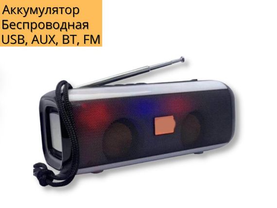 Портативна колонка XPRO TG-144 10Вт USB, AUX, FM, Bluetooth чорна (TG-144 ) | Зображення 1