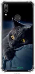 Чохол на Huawei Y7 2019 Димчастий кіт "825sp-1638-2448"