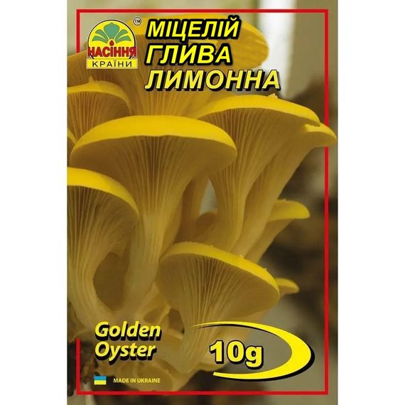 Глива лимонна 10 г