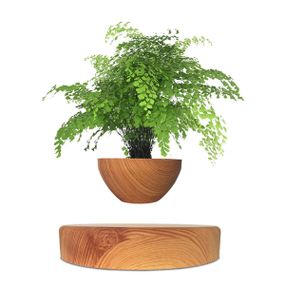 Магнітний левітаційний горщик для рослин HCNT Magnetic Levitating Pot M10-PS Wood Grain