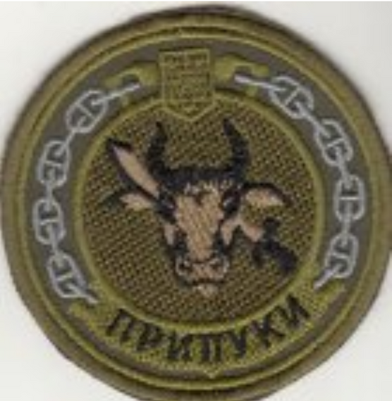 Шеврон Човен Прилуки ВМС Україна