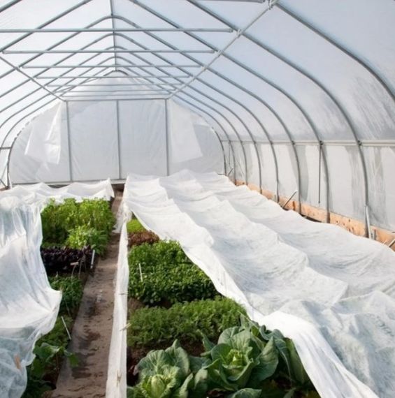 Агротканина Shadow 60 г/м² 1,6 x 50 м АВБР000321 | Зображення 6