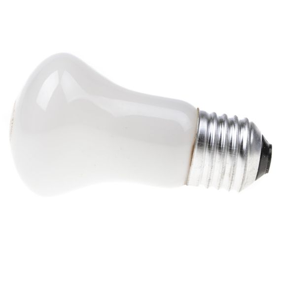 Лампа накаливания декоративная 60W E27 WW E50 220V | Зображення 1