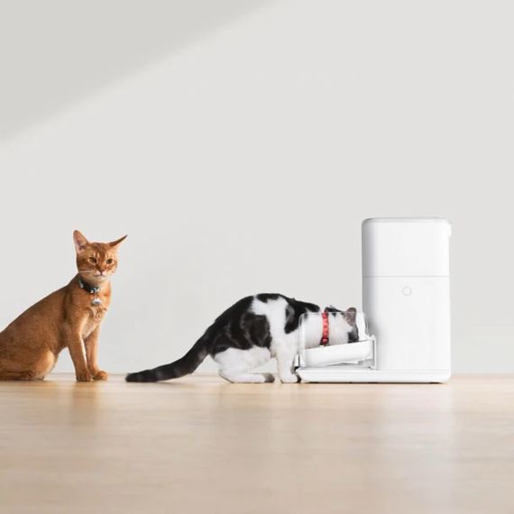 Смарт-годівниця для собак та котів Catlink Automatic Feeder Fresh 2 - Luxury, 4 л | Зображення 2