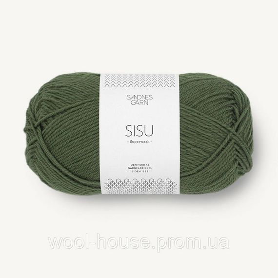 Шкарпеткова пряжа Sandnes Garn Sisu 50 г, 9573