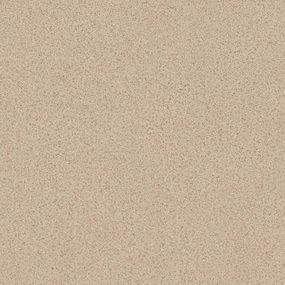 Линолеум Profi Strong Plus Granite 216М  ширина 4 м