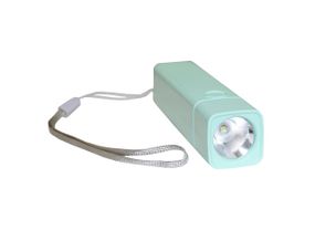 Ліхтар акумуляторний ручний LED FL2 1W 6500K 3/4H 100L bat: 3.7V 1.2A Green Ny95001243