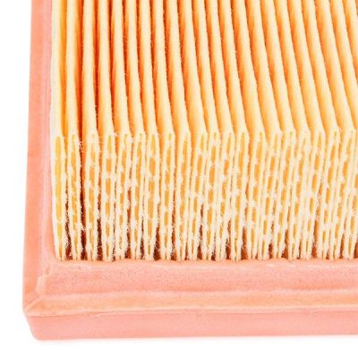 Воздушный фильтр для автомобиля Bosch F026400553 | Зображення 2