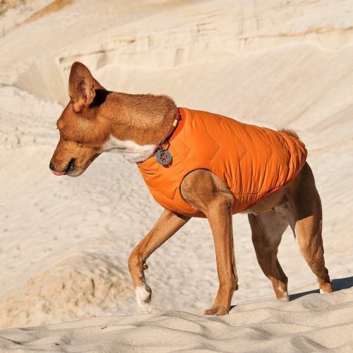 Жилет Pet Fashion «E.Vest» для собак, размер M2, оранжевый | Зображення 2