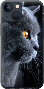 Чехол на iPhone 13 Mini Красивый кот "3038u-2373-17620"