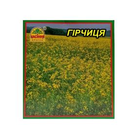 Насіння гірчиці 200 г (Насіння країни)