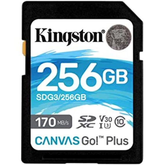 SDXC (UHS-1 U3) Kingston Canvas Go Plus 256Gb class 10 V30 (R170MB/s, W90MB/s) | Зображення 1