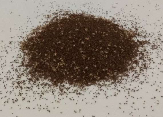 Подорожник великий (насіння), 100г.