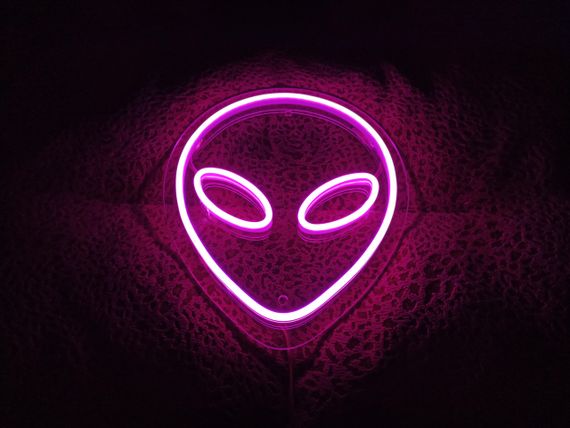 Неоновий світильник Прибулець 240х295 acr-n000003 | Зображення 2