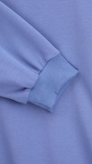 Світшот з принтом чоловічий LAWA P-MB02369 XL Синій shop (2000999542541) | Зображення 2