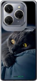 Чохол на Tecno Spark 20 Pro Димчастий кіт "825u-3620-2448"