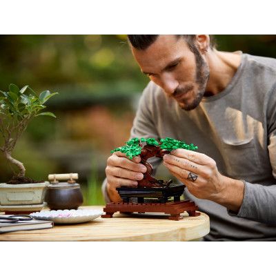 Конструктор LEGO Creator Expert Дерево бонсай 878 деталей (10281) | Зображення 4