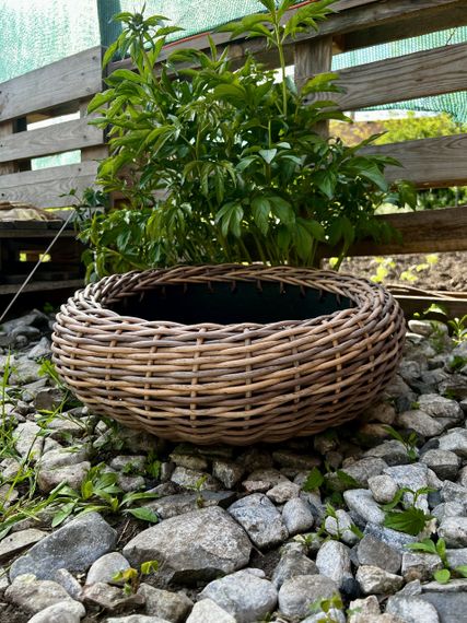 Низьке кашпо зі штучного ротангу “Лоза 12,5 л” — для квітів або як лежанка для кота